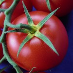 Come tomate y evita el cáncer