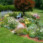 Como cuidar de tu jardín en el verano