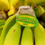 Contribuye al planeta con la comida orgánica; símbolo indiscutible de salud