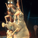 El horror detrás del circo