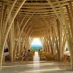 Bambú: El acero vegetal