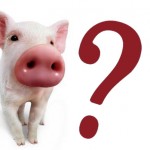 Comer cerdo: bueno o malo?