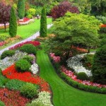 Como crear un jardín perfecto