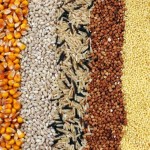 Los cereales más saludables que debes consumir