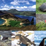 Islas Galápagos, las más bellas del mundo