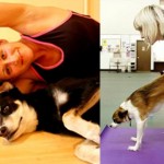 Doga: el yoga para perros existe!