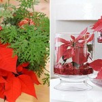 Decora tu hogar con flores naturales en navidad