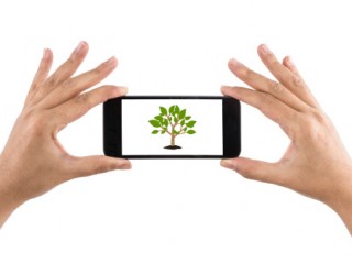 Smartphone with Ä°con Tree