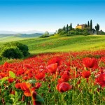 Destino de ensueño: Un viaje a la bella Toscana
